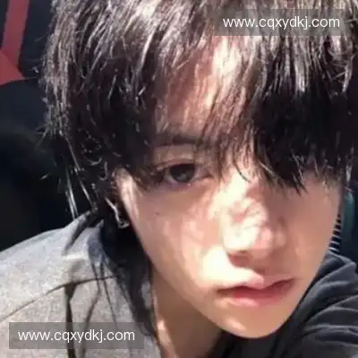 明锦柳